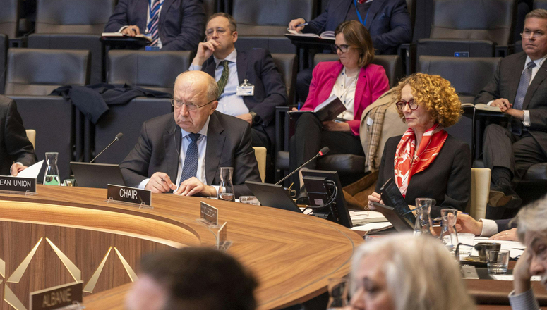 NATO Allies discuss boosting defence spending and industrial capacity with the European Commissioner for Defence and Space