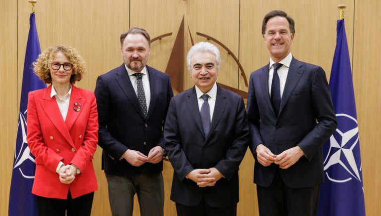 NATO Allies discuss energy security with the Executive Director of the IEA and the European Commissioner for Energy